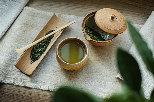 7月植えで秋まで楽しめる耐暑性多年草8選とプロのコツ