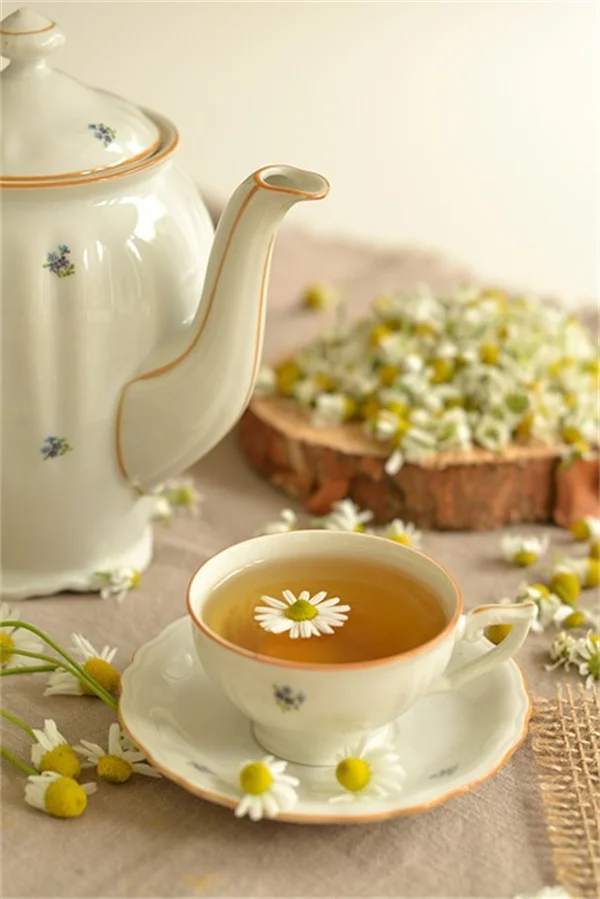 もう蚊に刺されない！たった5分で作る最強の蚊対策