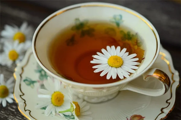 イチョウの生垣の剪定方法　茂らせる＆密に育てる失敗しないコツ
