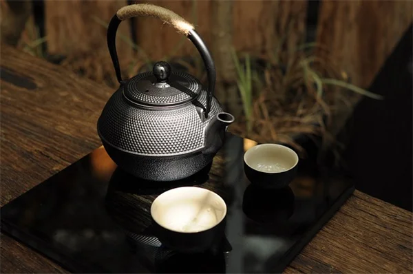 水蕨の育て方完全ガイド！失敗しないコツを初心者向けに解説